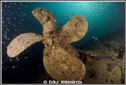 Propellor of the Wreck in Koh Lipe by Erika Antoniazzo 